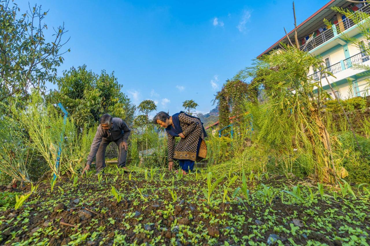 Zostel Homes Pedong, カリンポン エクステリア 写真